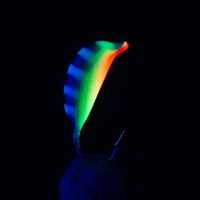 Color 311P (UV)