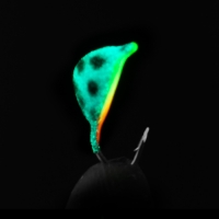 Color 304P (UV)