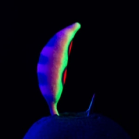 Color 366P